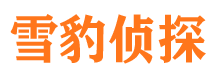 田家庵婚外情调查